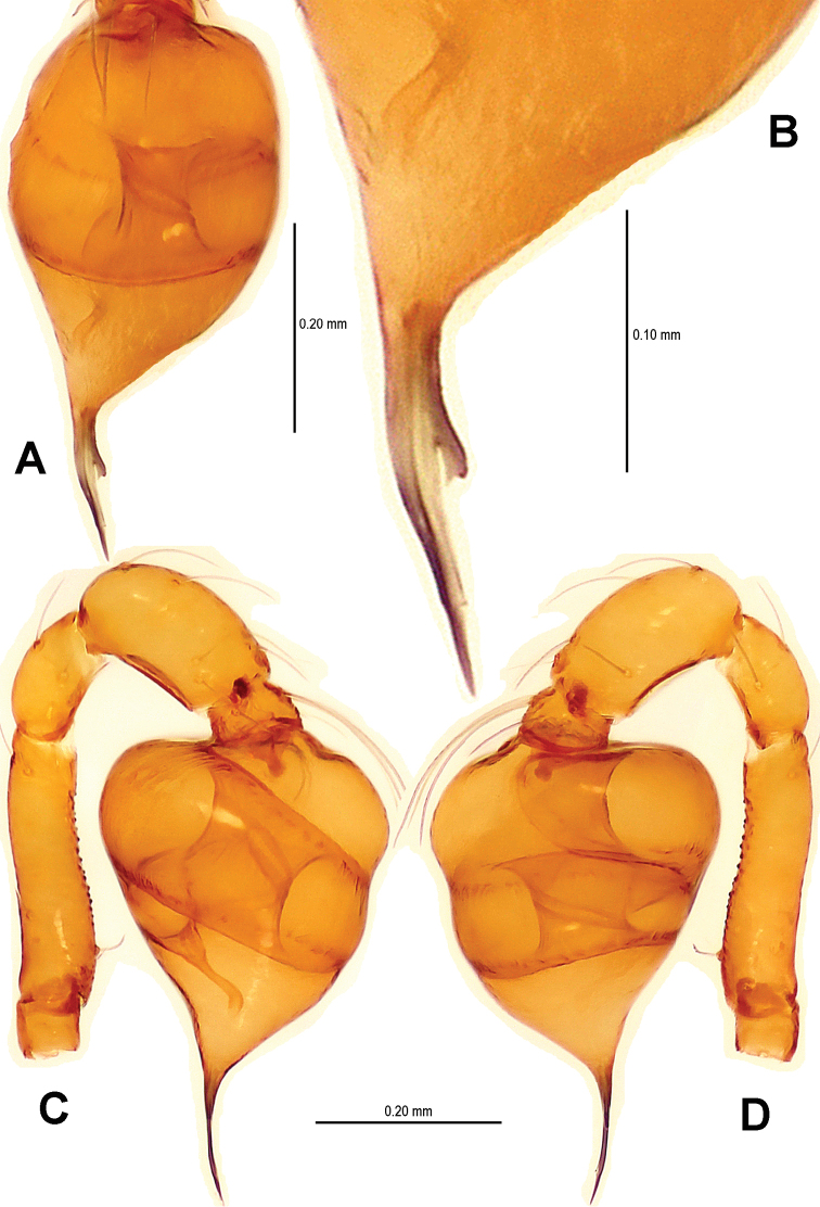 Figure 14.