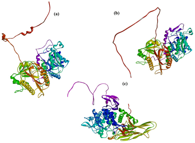 Figure 11