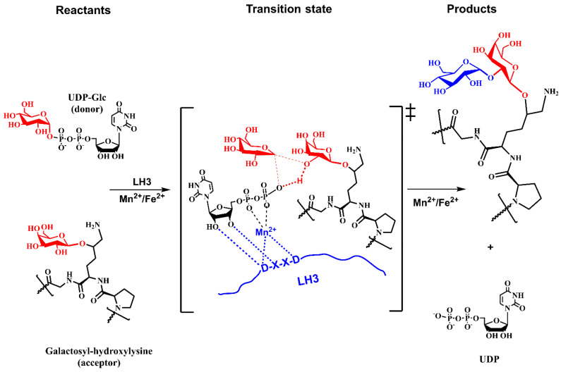 Figure 13