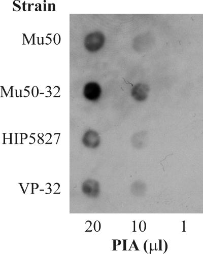 FIG. 5.