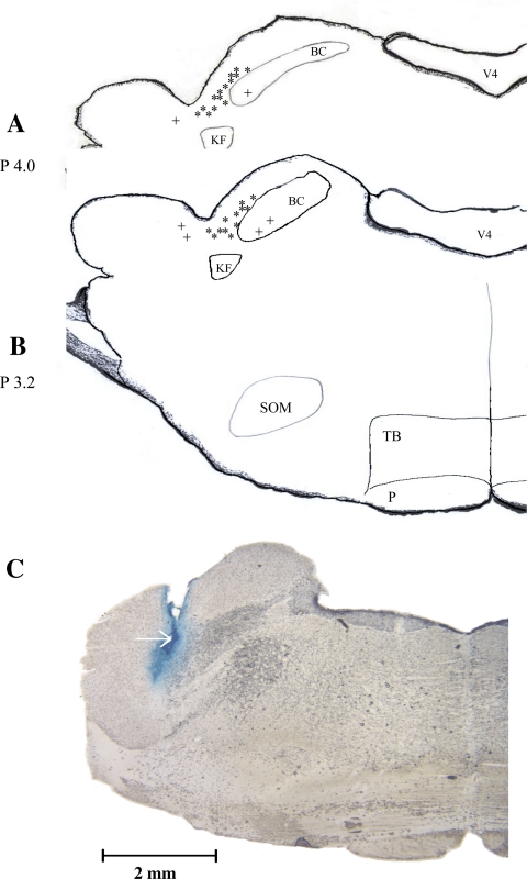 Fig. 6.