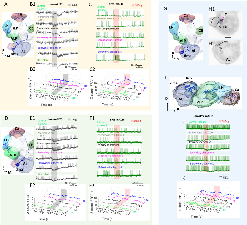 Figure 5—figure supplement 4.