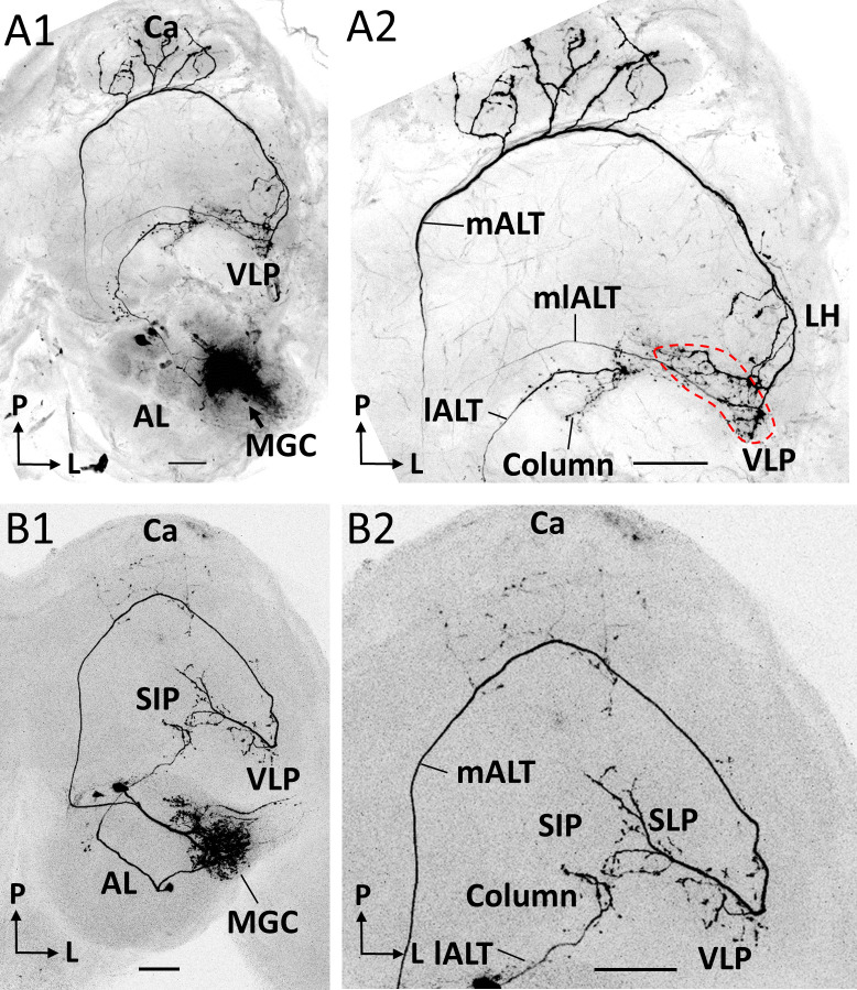 Figure 4.