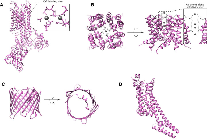 Figure 5.