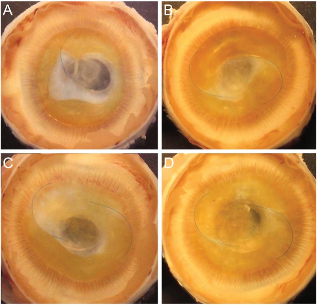 Fig. 9