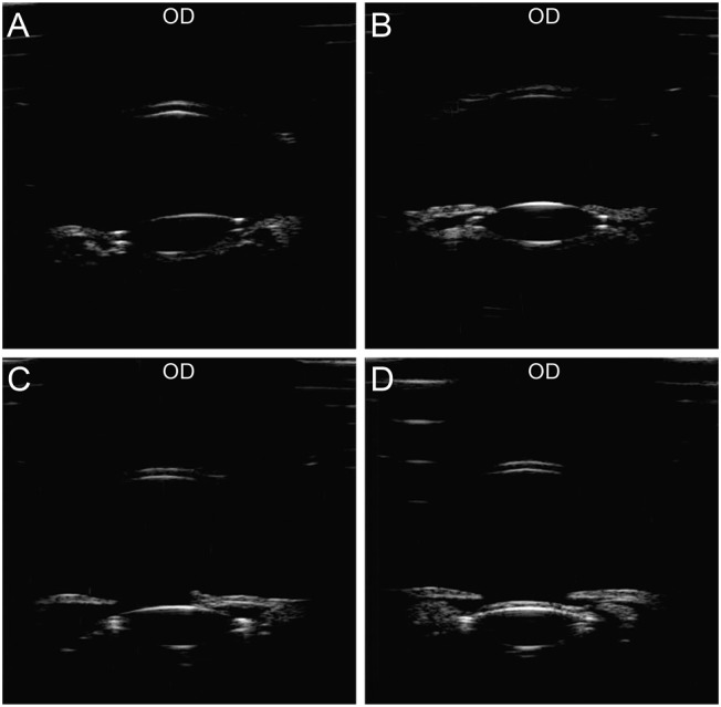 Fig. 7