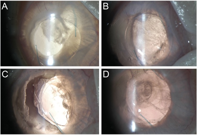 Fig. 8