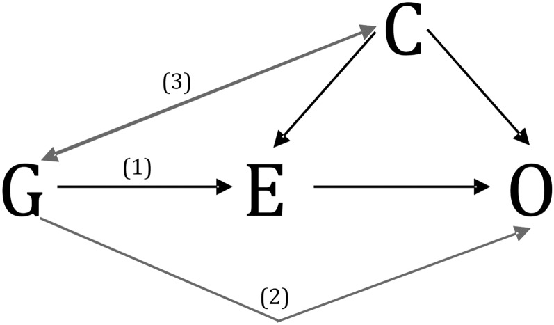 FIGURE 1