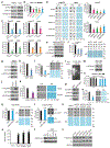 Extended Data Figure 2.