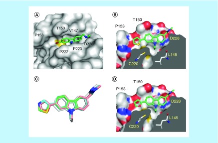 Figure 3. 