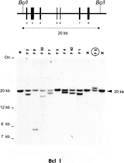 Fig 13