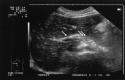 Fig 8