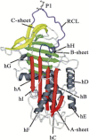 Fig 16