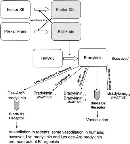 Fig 21