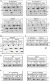 Figure 7