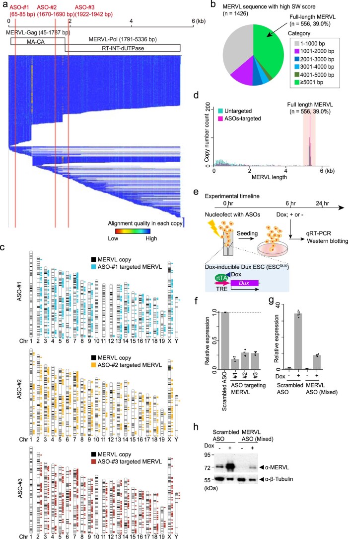 Extended Data Fig. 1