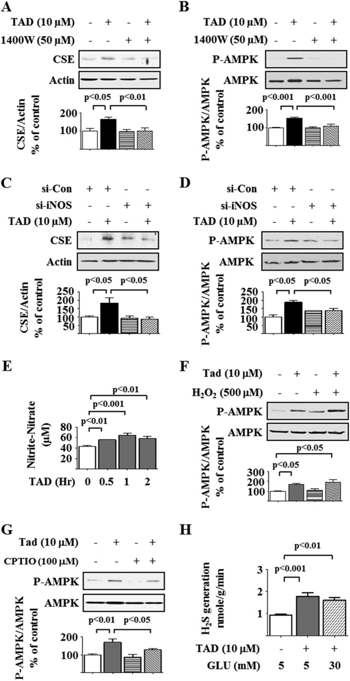 FIGURE 11.