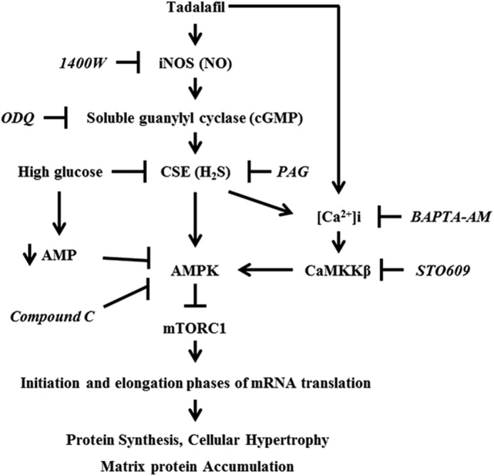 FIGURE 12.