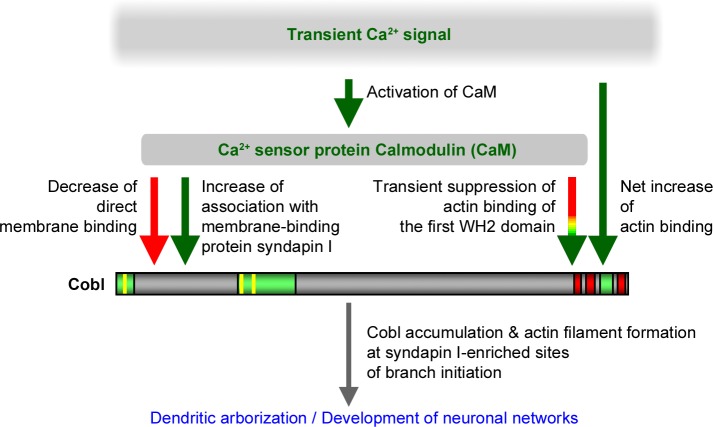 Fig 11