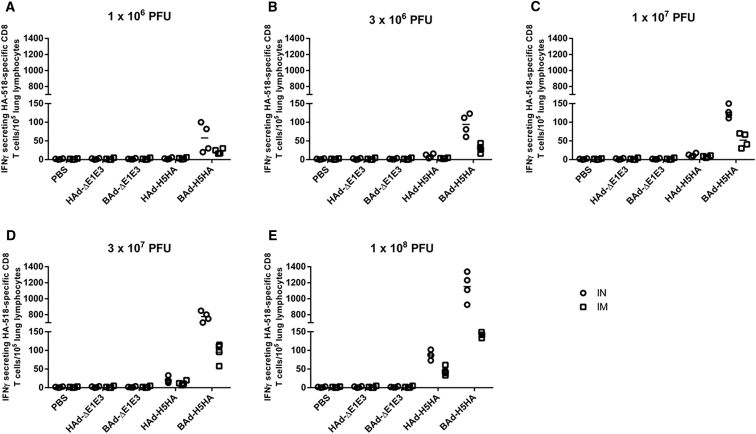 Figure 11