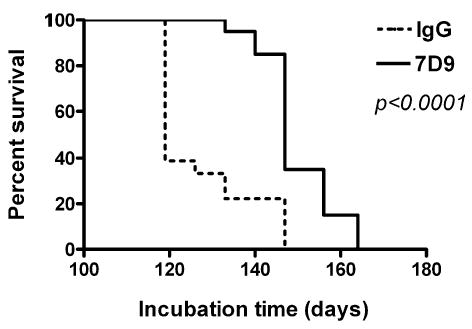 Fig. 12