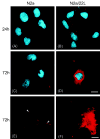 Fig. 10