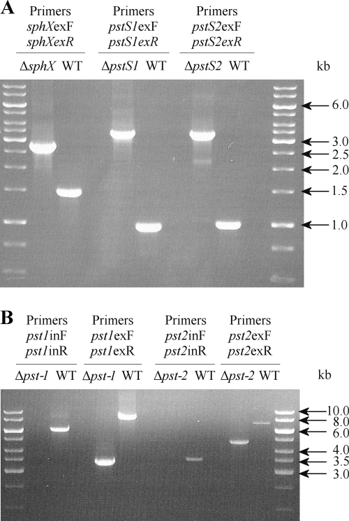 FIG. 5.