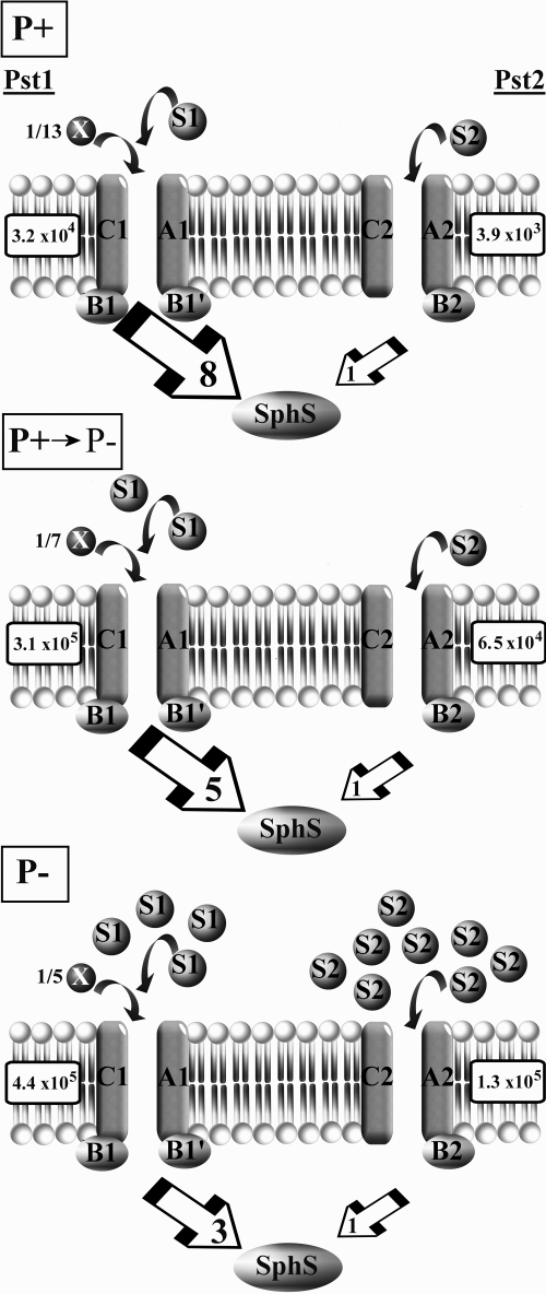 FIG. 9.