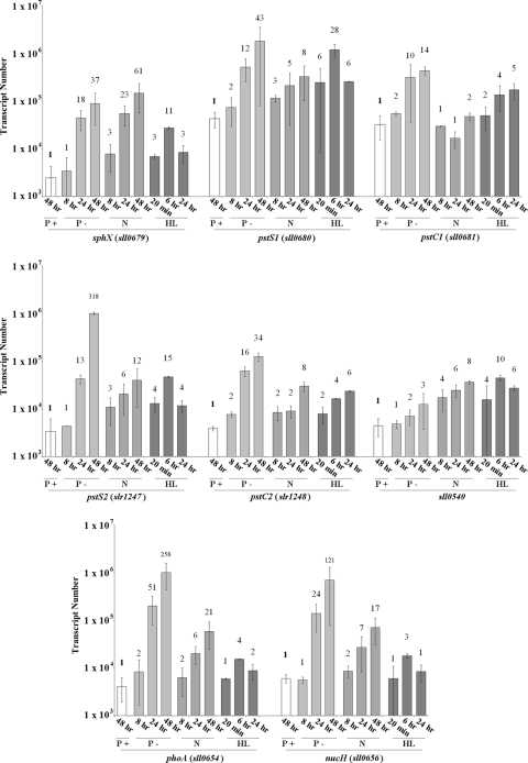 FIG. 4.