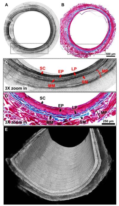 Fig. 3