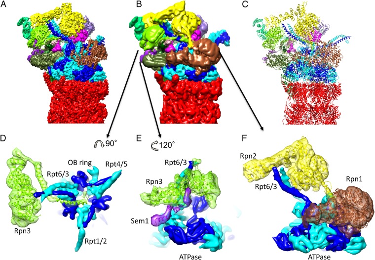 Fig. 4.