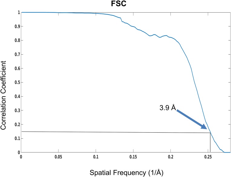 Fig. S3.