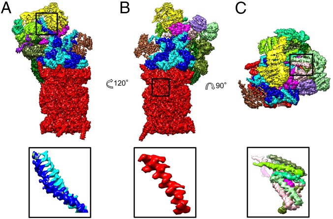 Fig. 1.