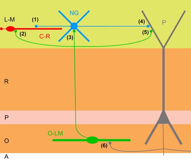 Figure 13.