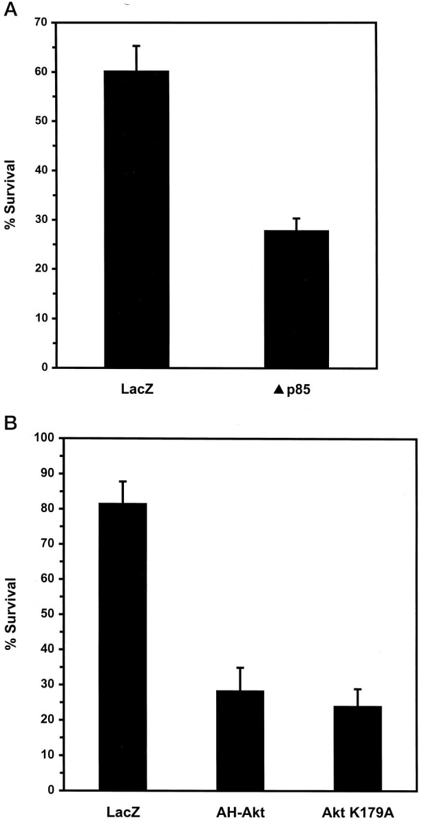 Fig. 10.