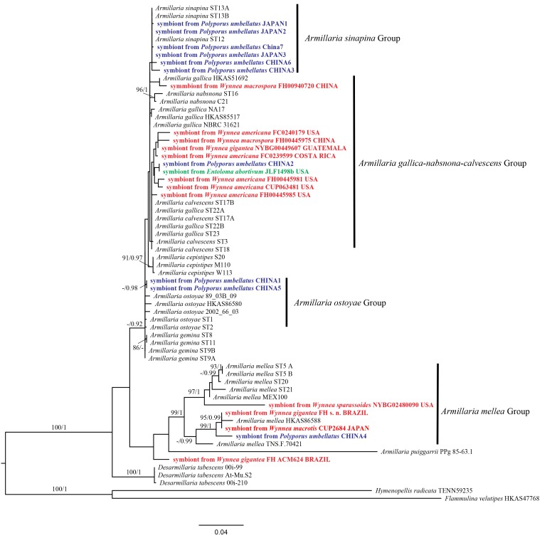 Fig. 1.