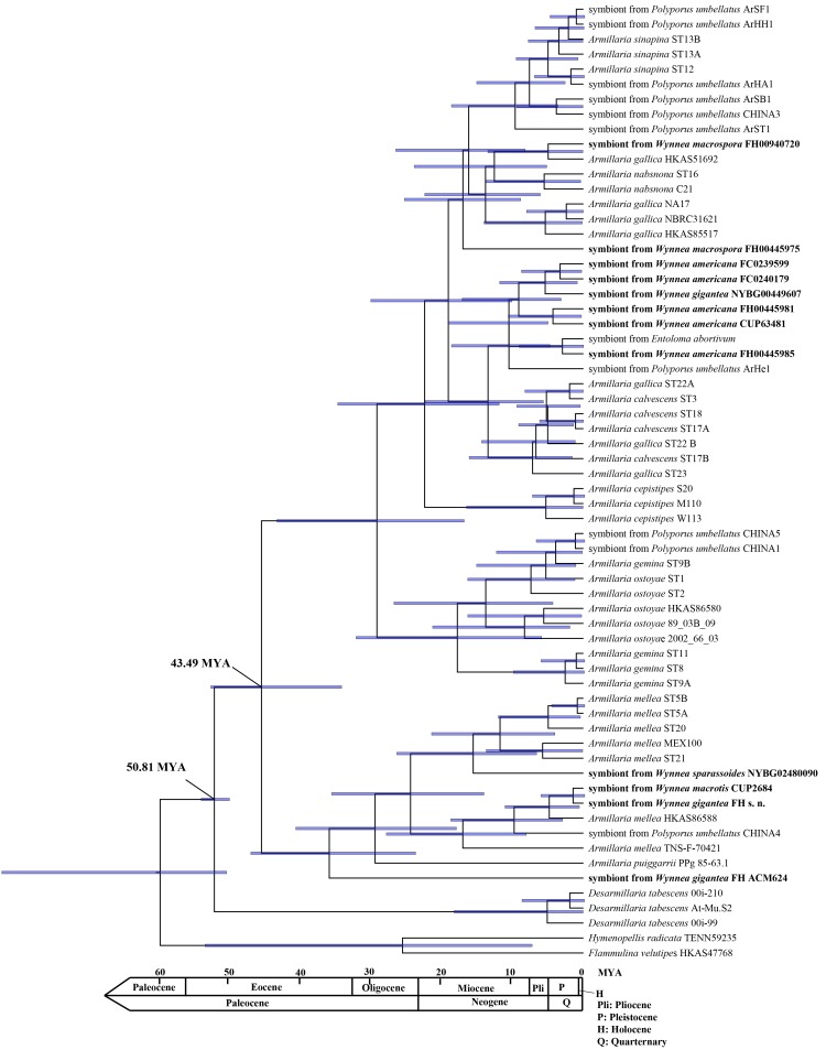 Fig. 3.