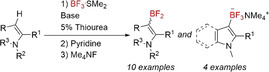 graphic file with name CHEM-26-13873-g012.jpg