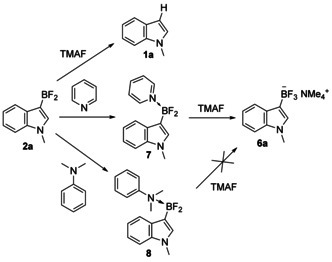 Scheme 7