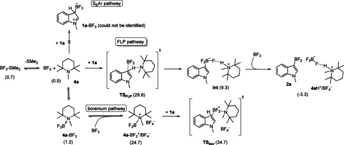 Scheme 3