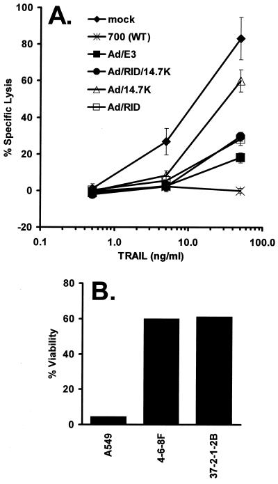 FIG. 6