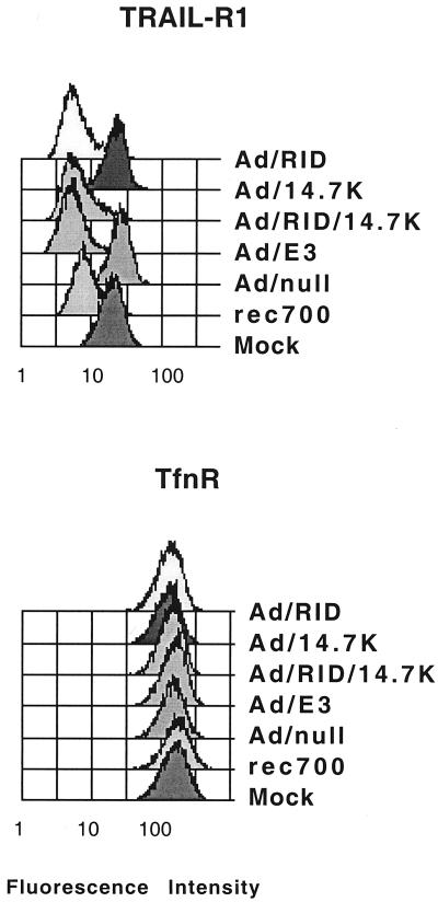 FIG. 7