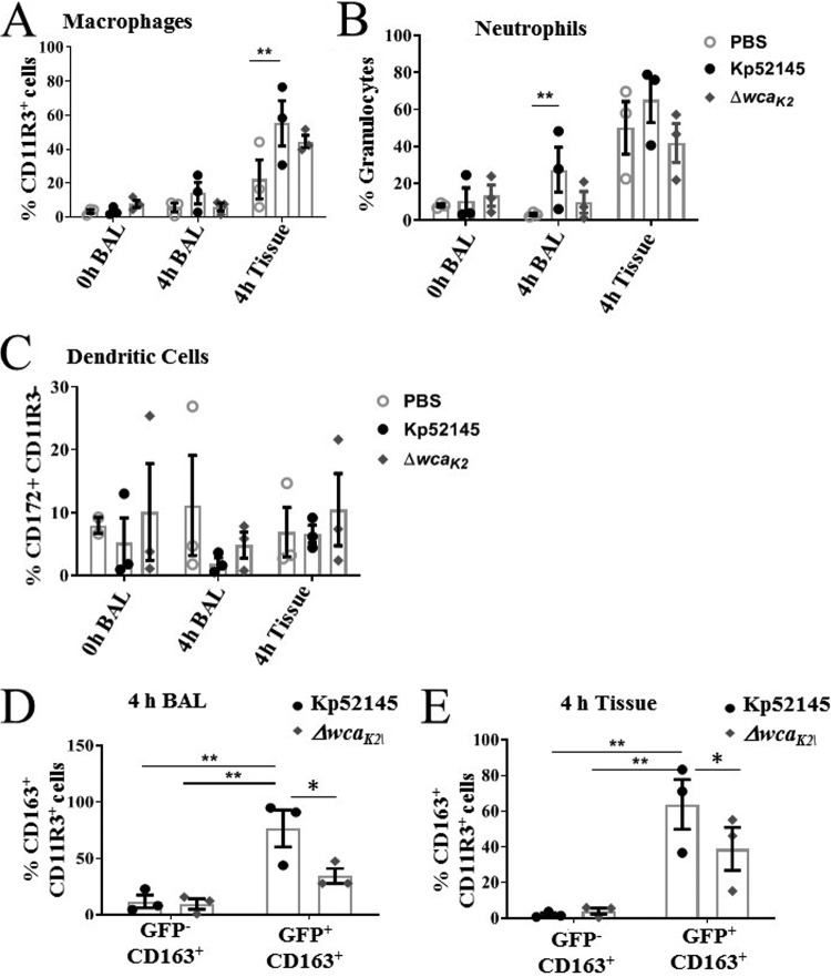 FIG 4