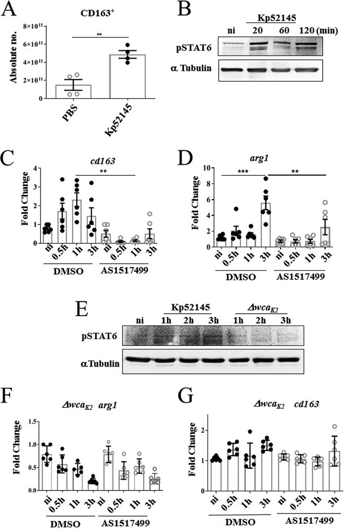 FIG 6