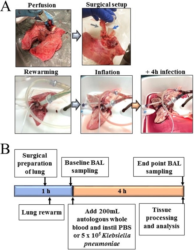 FIG 1