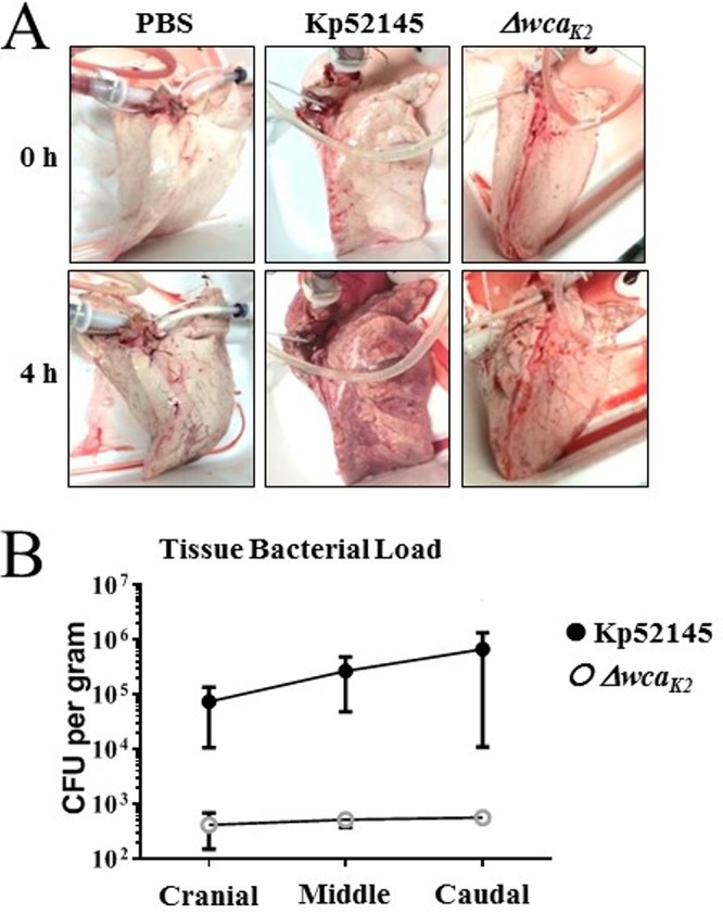 FIG 2