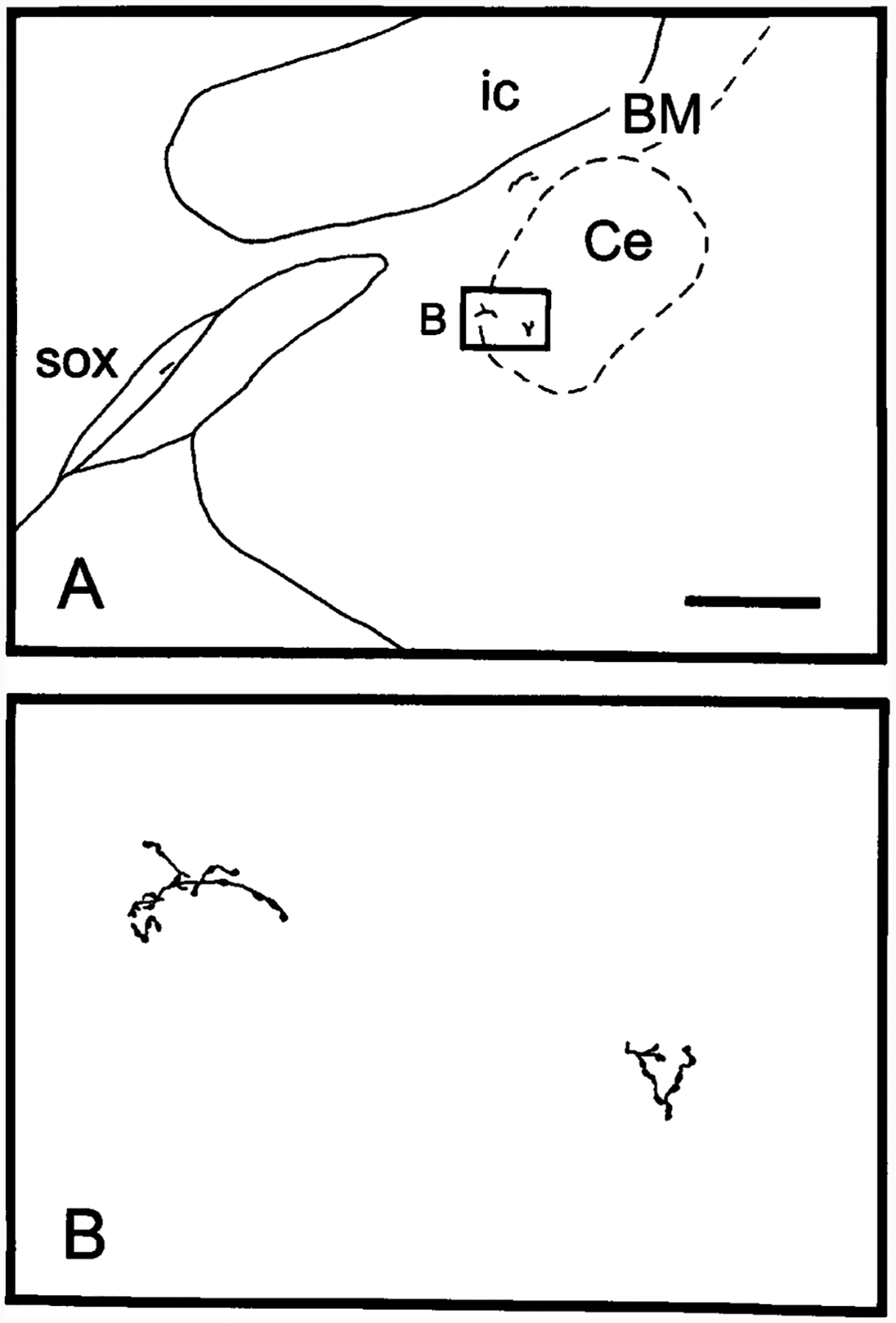 Fig. 9.