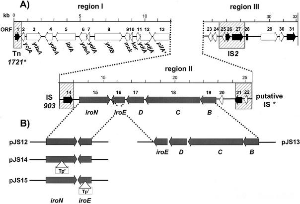 FIG. 1.