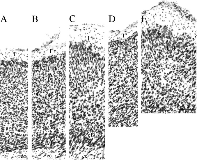 Figure 12.