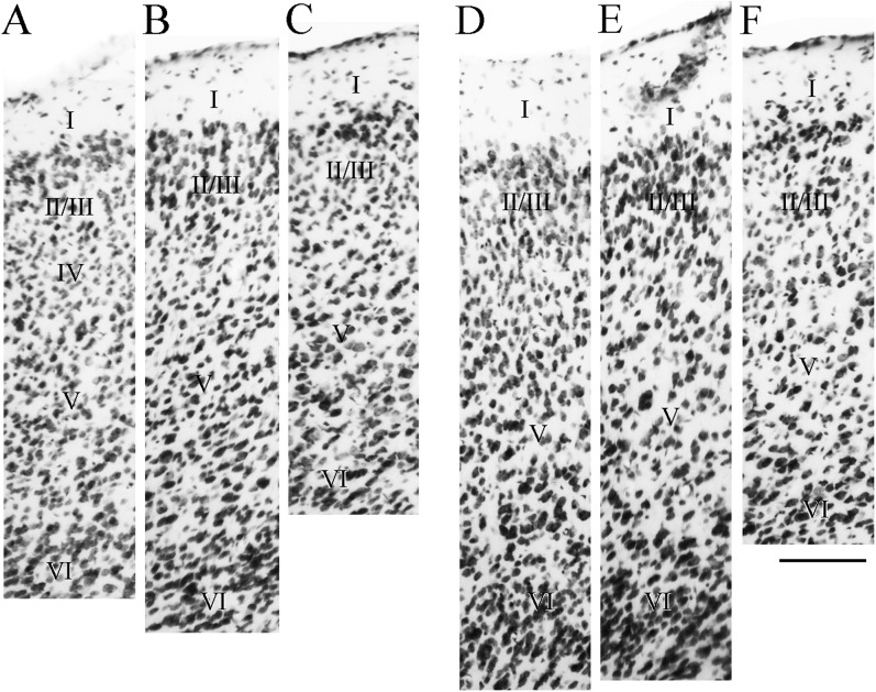 Figure 14.